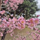 서울특별시중부공원여가센터 이미지