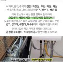 더바른성모정형외과의원 이미지
