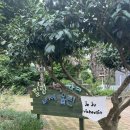 비체올린 | 제주도 아이와 함께 하는 카약 체험 7월의 비체올린 후기