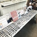 셀안경원 이미지