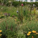 외도널서리 이미지