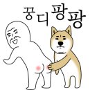 인형#놀러와