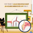D&C 동물병원 이미지