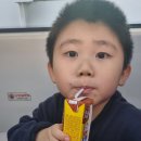 레고랜드(춘천) 이미지