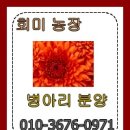 어물농장 이미지