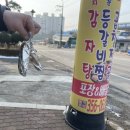 머그리감자탕