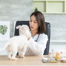 24시 딜라이트 동물의료센터 이미지