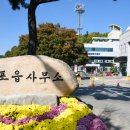 구지면 행정복지센터 티스토리