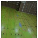 정읍태권도체육관 이미지