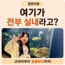 기차길옆카페 | 포천 아이랑 가볼 만한 곳ㅣ예술정원 1999 솔직 후기, 볼거리가 가득했던 이색 전시공간