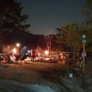 산속애견 이미지