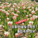 풍성농장 | 4월 봄꽃명소 튤립축제 전남 장흥 하늘빛수목원