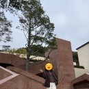 가을 숲으로 가자 | 2025년 10월초 가을 화담숲 방문후기