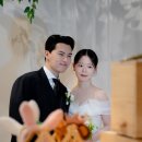 베뉴지 마리아칼라스홀 본식스냅 사진보라 후기