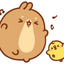 청천 종합 동물병원 이미지