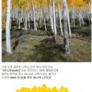 나무한그루 이미지