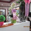 태후사랑 이미지