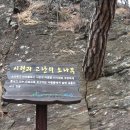 천년바위민박 Daum카페