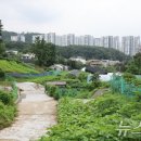 서울 그린벨트 12년 만에 푼다…수서·김포 공항·내곡동 유력 **** 진영 (285800) 이미지