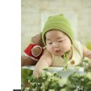 똥강아지 베이비 스튜디오