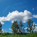 한터팜펜션 이미지