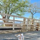 상관목장 이미지