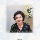 김명선 - 잔영殘影 이미지