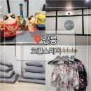 진리스테이 | 강릉 가성비 숙소 추천 료칸스테이 내돈내산