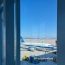 6522 | 상하이 여행 중국남방항공 탑승 후기! CZ314 특별 기내식 &amp; CZ659 대련 경유 꿀팁 총정리