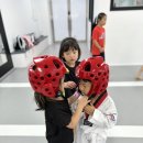 TL태권도 이미지