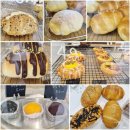 미래 소프트 | 전주중화산동 베이커리카페 크럼드(CRUMD) 소금빵맛집 내돈내산 솔직후기
