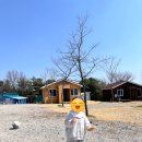 누나농장 | 포항 캠핑장 비손농장 18개월 아기랑 only 방갈로 다녀온 후기