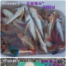 신신낚시신항만점