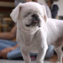 개st하우스 이미지