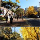 가배차 - 부산진구 새싹로58번길 10 | 가배차