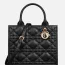 S&M | 디올백 블랙 종류(S&amp;M) 및 가격 + 레이디 디올 스몰 그레인 후기