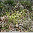 석동2리 경로당 이미지