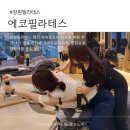 창원시직업재활센터 | 창원필라테스 에코 자이로토닉 창원점 후기 | 창원운동·창원재활 맞춤 1:1 체형 교정