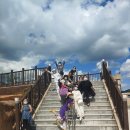 오션피드 이미지