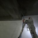 칼릭스빌딩 이미지