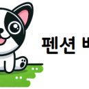 연희재 애견펜션 네이버블로그