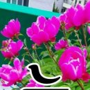 장*순 이미지