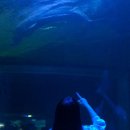 이재용치과의원 이미지