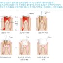 연세프라임치과의원 이미지