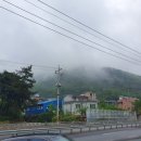 보길도낙지이야기 이미지