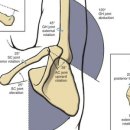 메디스포츠 이미지