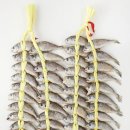 ECC 삼성홀 이미지