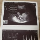 아마존여성의원 이미지