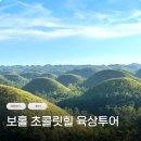 오후 | 보홀투어 초콜릿힐 안경원숭이 육상투어 오후 패키지 후기
