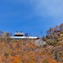 아리힐스(짚와이어) 이미지